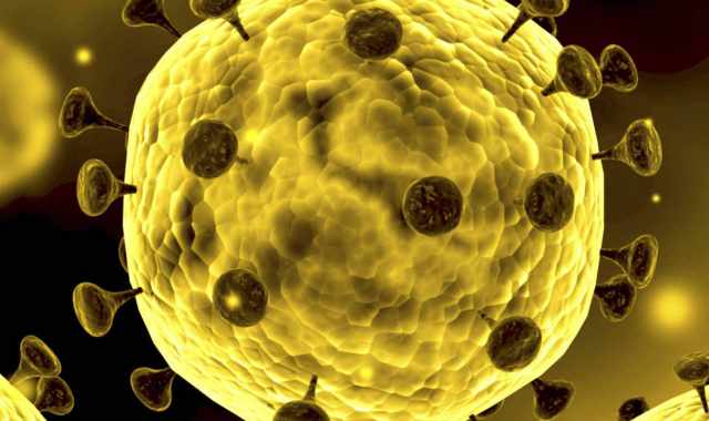 Coronavirus, in Puglia 69 nuovi casi: positivo il 3,25% dei tamponi